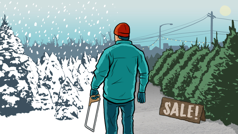 Illustration for article titled A Complete Guide to Finding and Chopping Down Your Own Tree